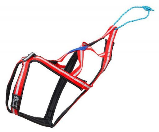 X Back Harness - Wide Neck (Dragrattan) - SnowPaw Store - Dragrattan - Dog Harness