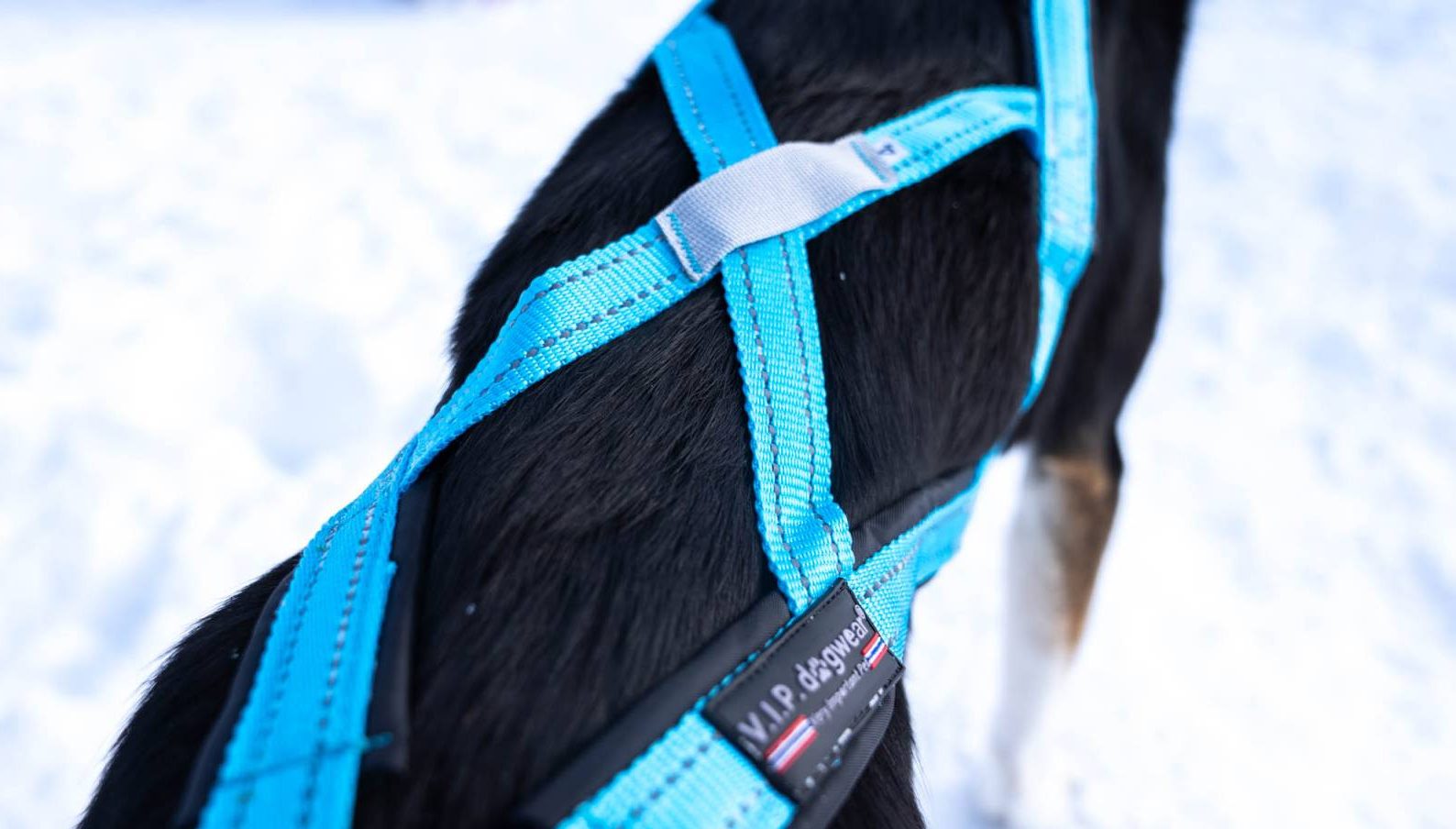 X Harness (V.I.P Dogwear) - SnowPaw Store - VIP Dogwear - Dog Harness