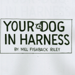 Your Dog In Harness - SnowPaw Store - SnowPaw Store - Sled Dog Equipment