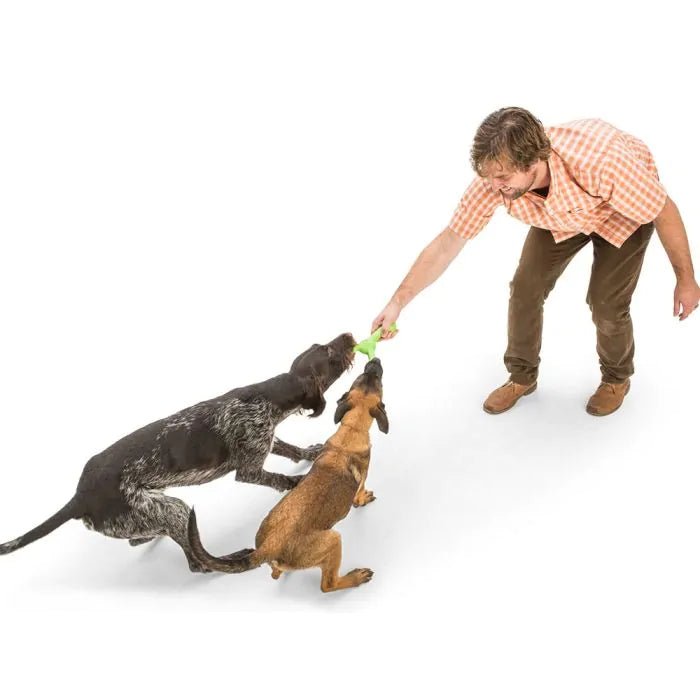 Zogoflex Echo Skamp (West Paw) - SnowPaw Store - West Paw - Dog Toys